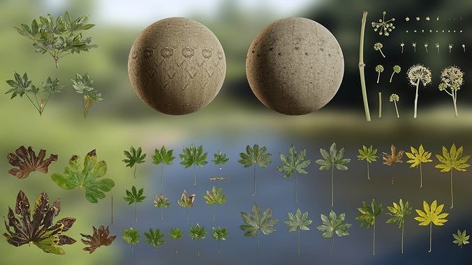 Fatsia japonica Low-poly 3D model