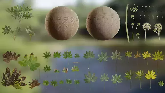 Fatsia japonica Low-poly 3D model