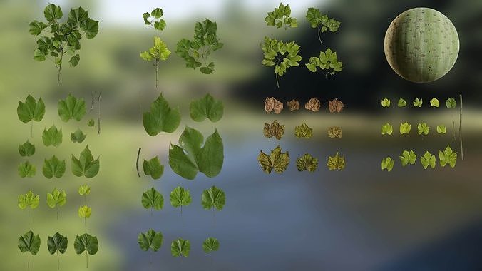 Firmiana simplex Low-poly 3D model