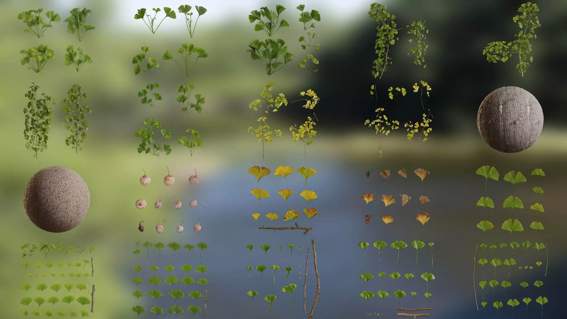 Ginkgo biloba Low-poly 3D model