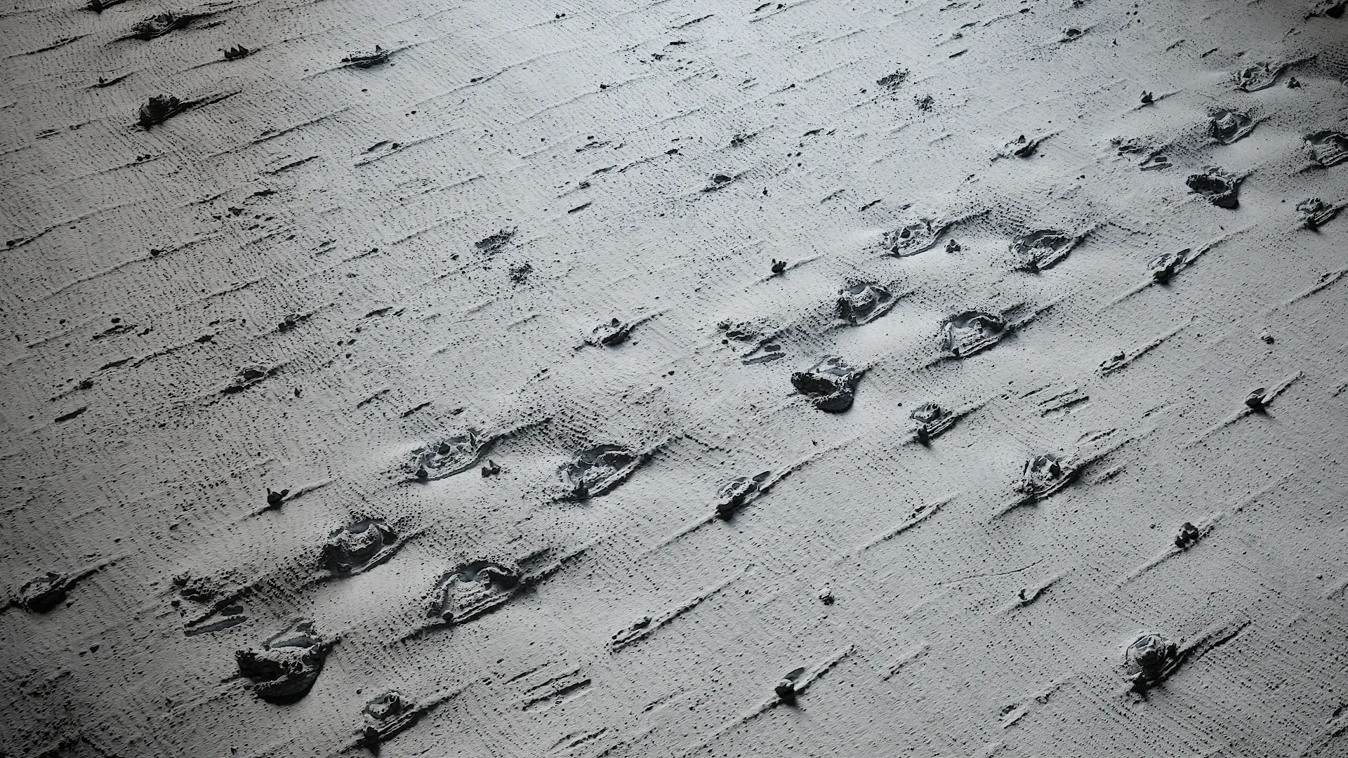 Hibiscus mutabilis Low-poly 3D model_34