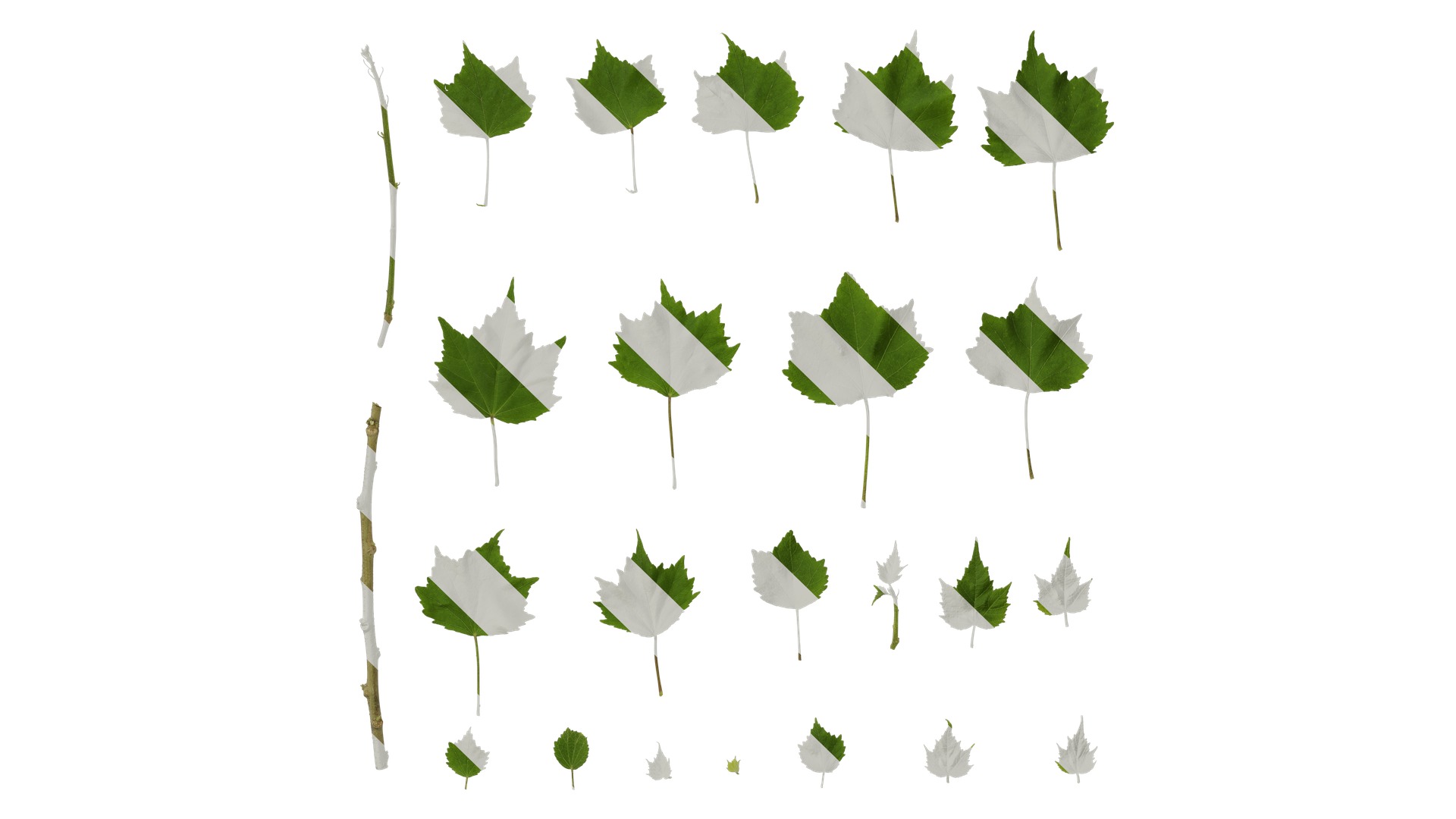 Hibiscus mutabilis Low-poly 3D model_54