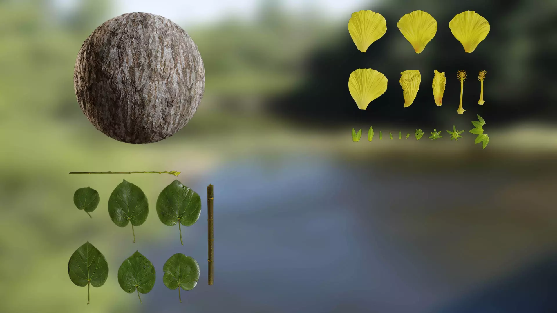 Hibiscus tiliaceus Low-poly 3D model