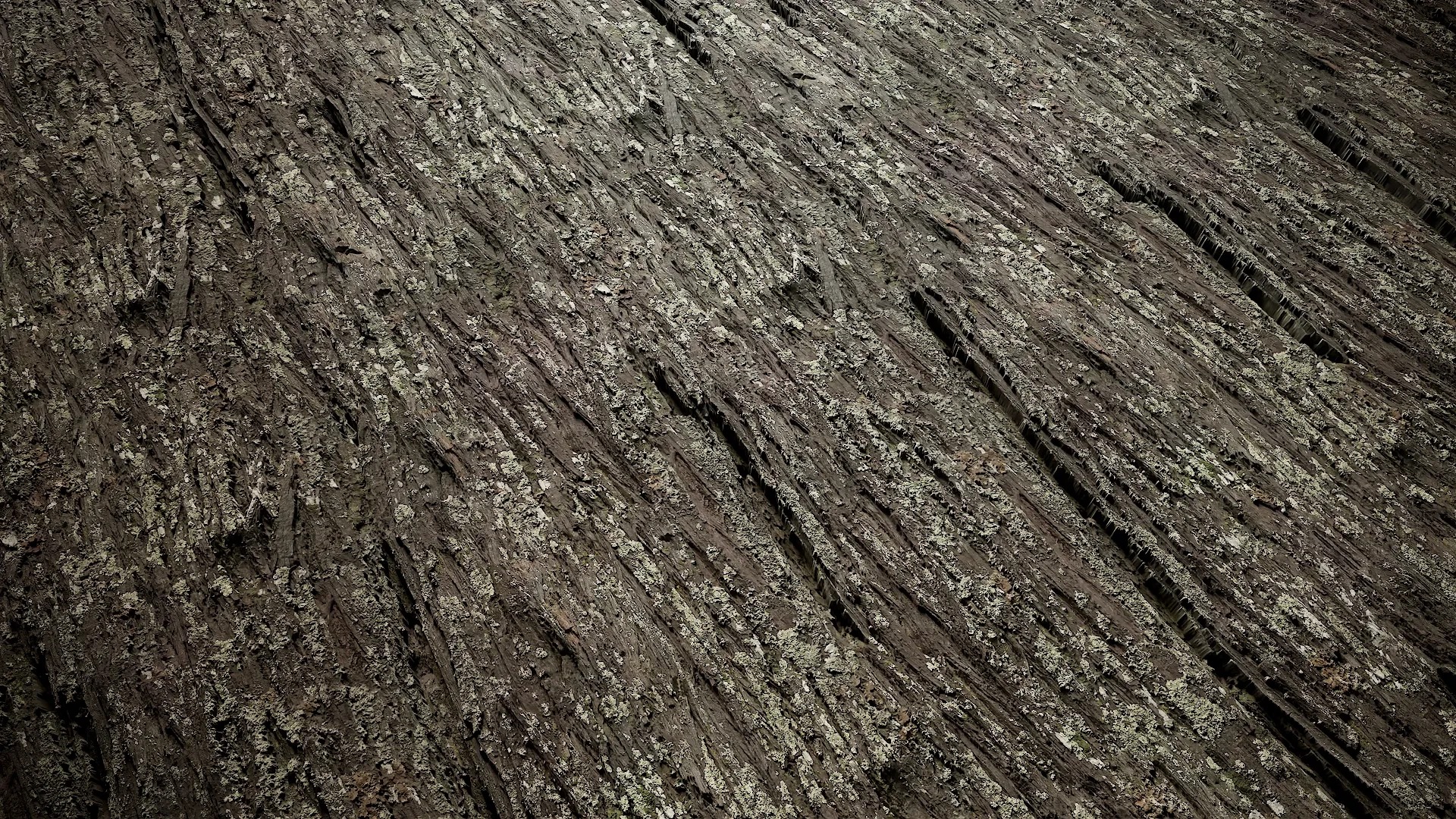 Hippophae rhamnoides Low-poly 3D model_7