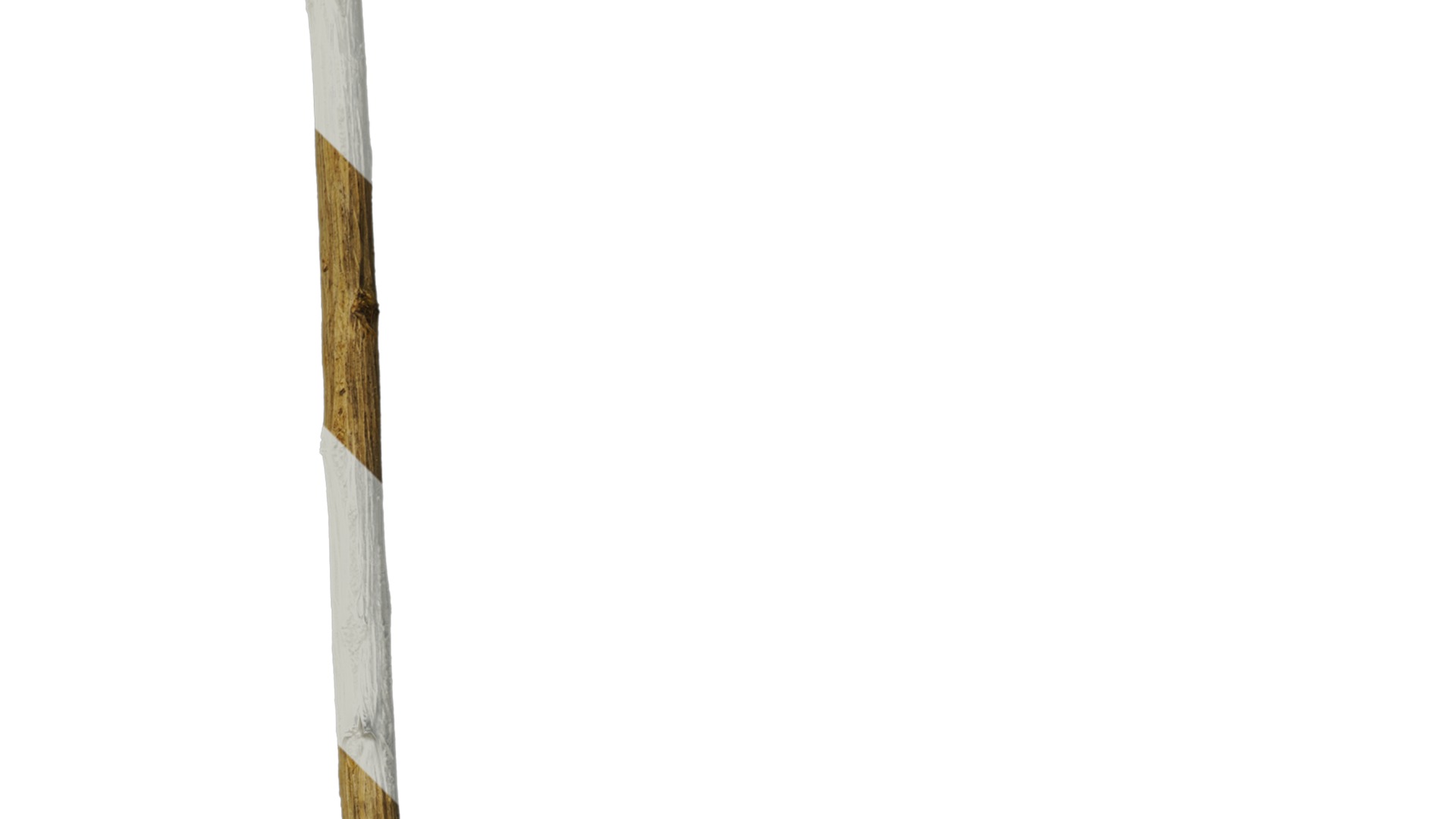 Hippophae rhamnoides Low-poly 3D model_12