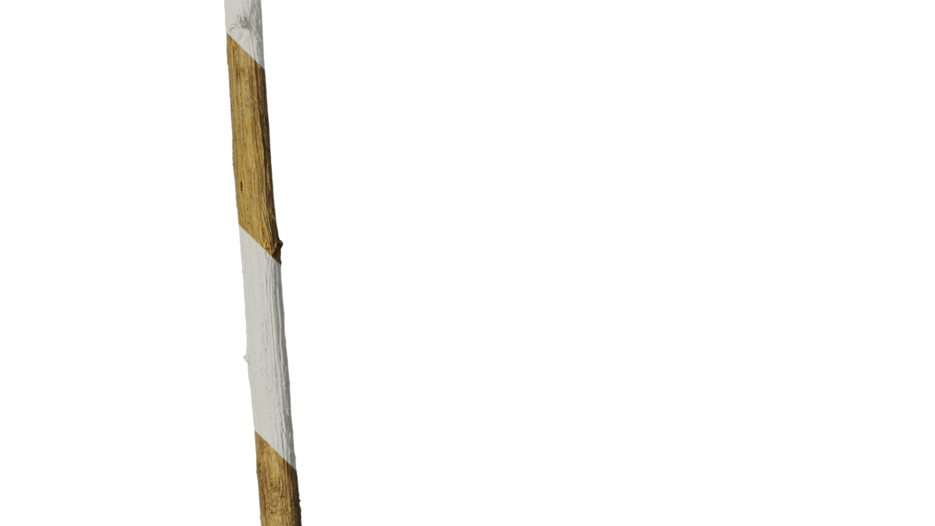 Hippophae rhamnoides Low-poly 3D model_14