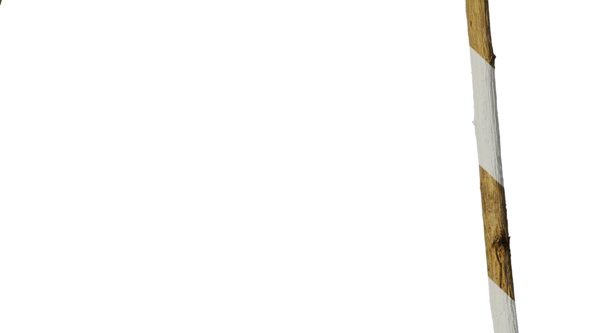 Hippophae rhamnoides Low-poly 3D model_17