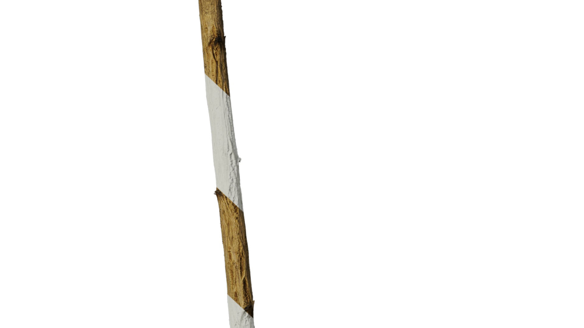 Hippophae rhamnoides Low-poly 3D model_16