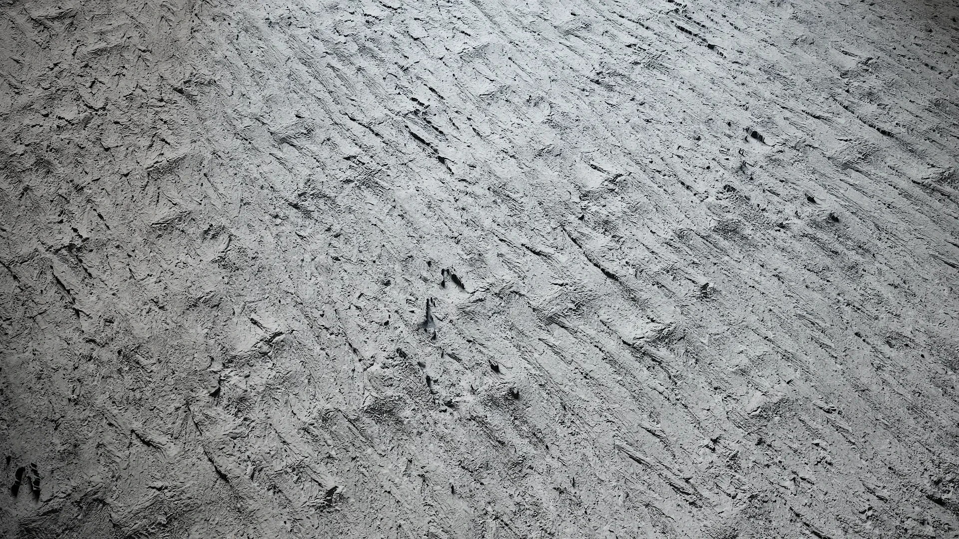 Hippophae rhamnoides Low-poly 3D model_6