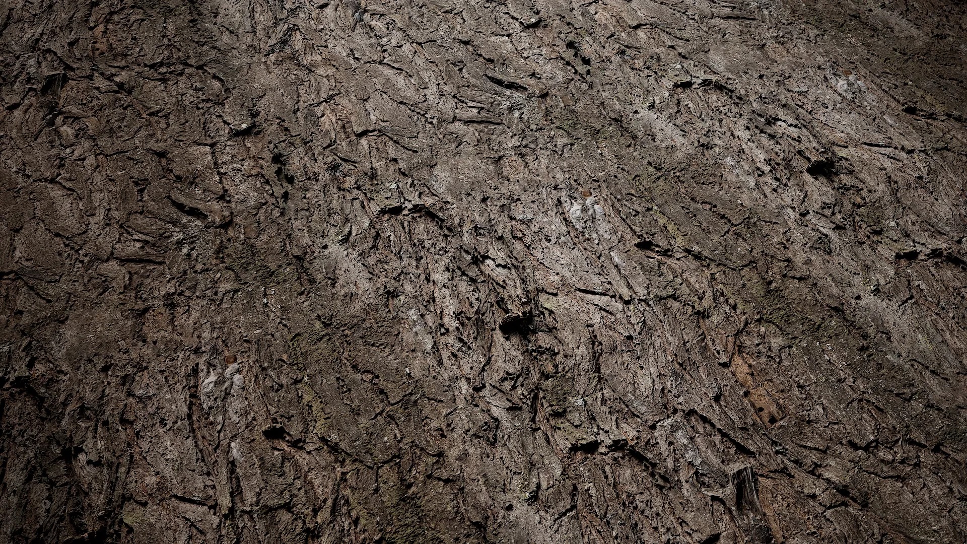 Hippophae rhamnoides Low-poly 3D model_1