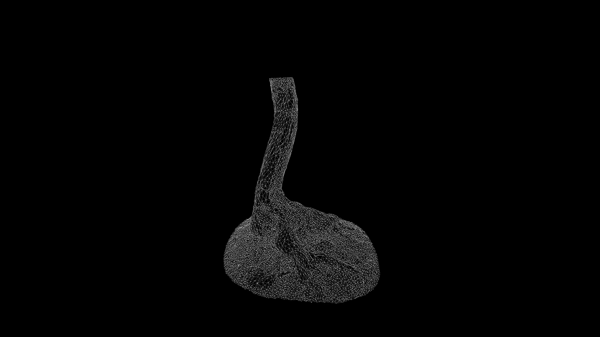 Hippophae rhamnoides Low-poly 3D model_19