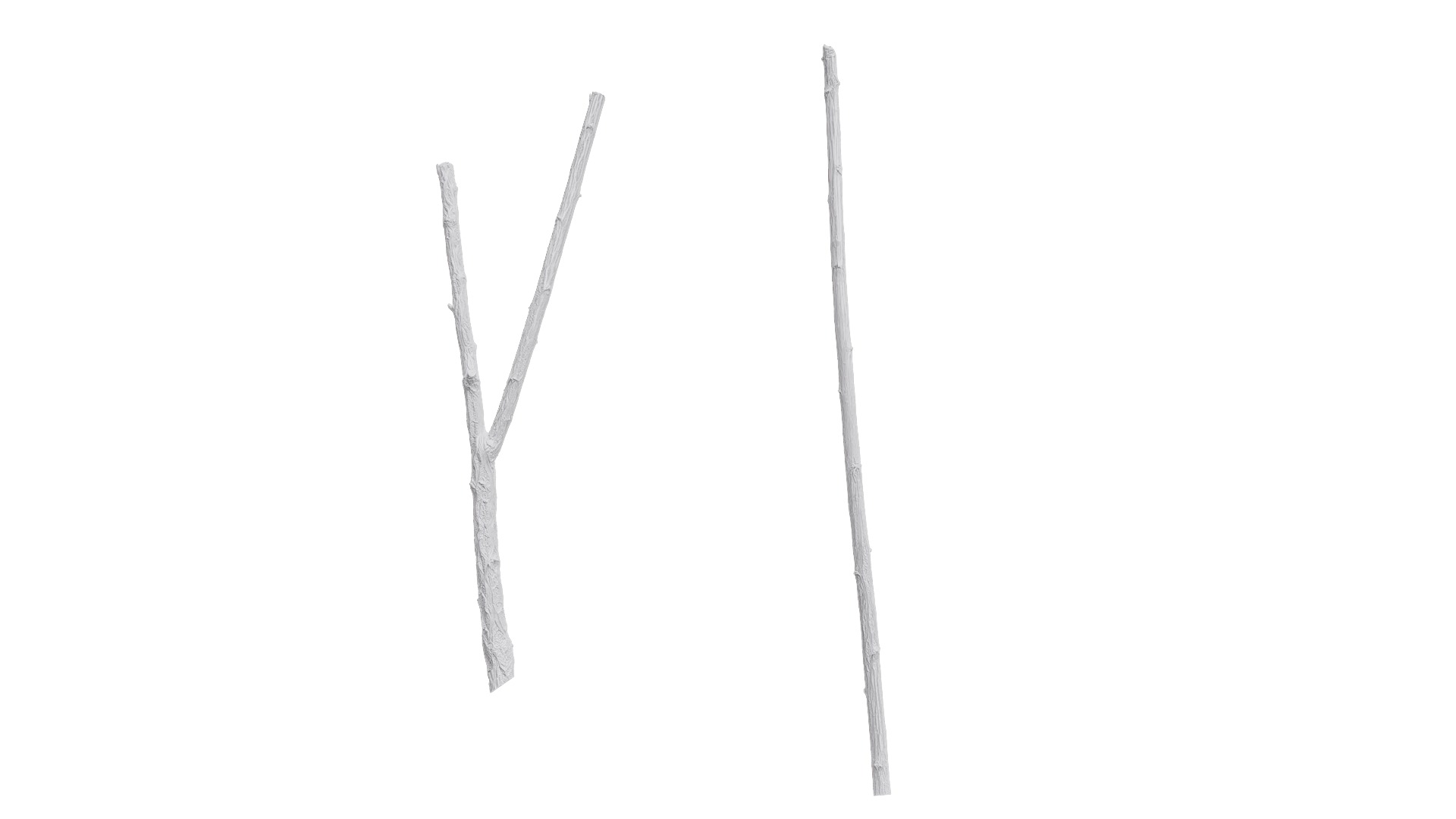 Hippophae rhamnoides Low-poly 3D model_9