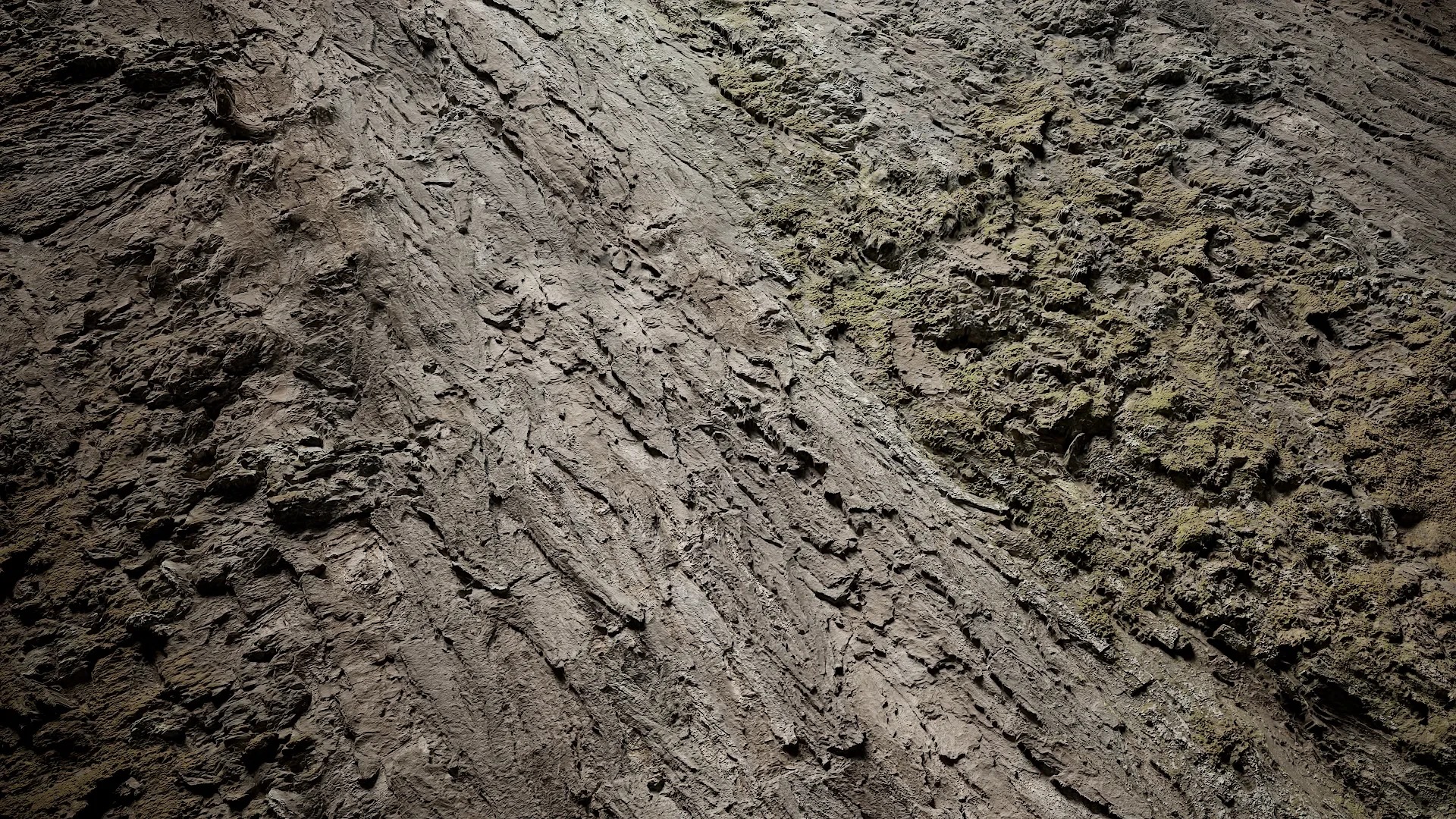 Hippophae rhamnoides Low-poly 3D model_3