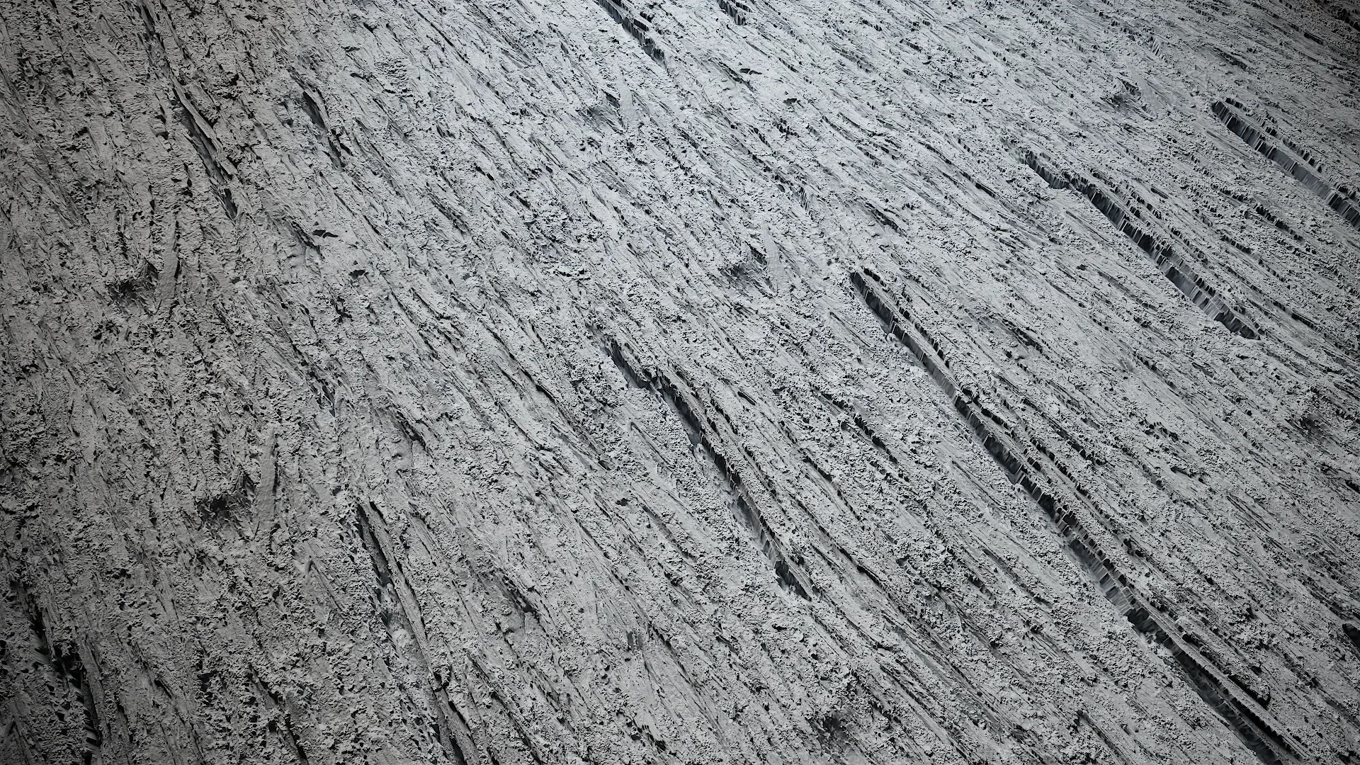 Hippophae rhamnoides Low-poly 3D model_8