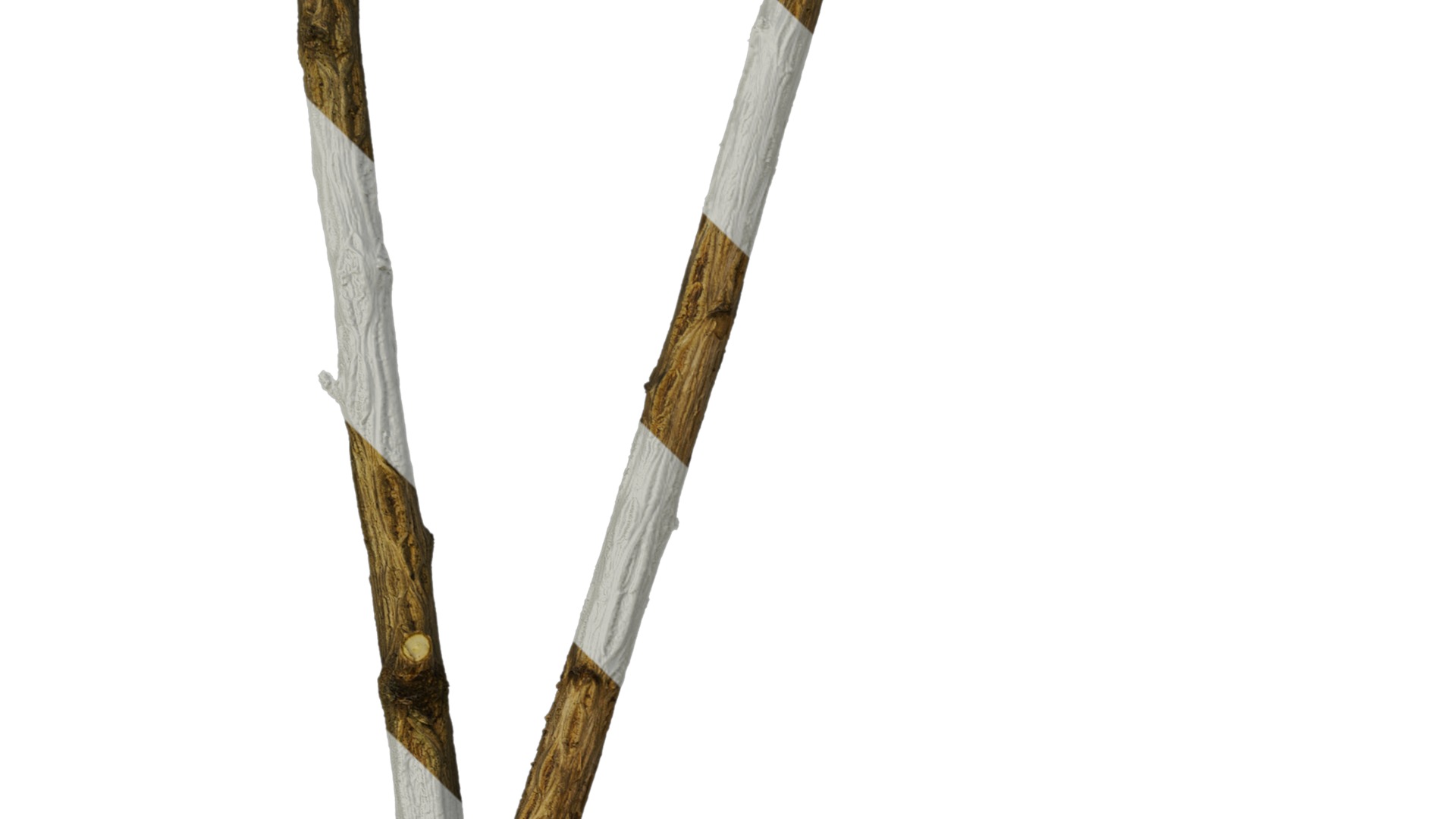 Hippophae rhamnoides Low-poly 3D model_13