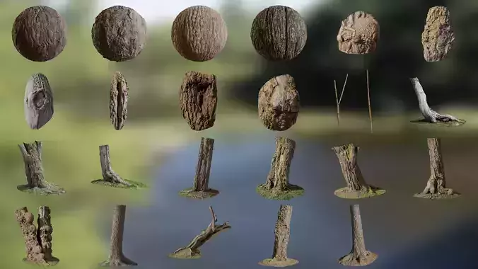 Hippophae rhamnoides