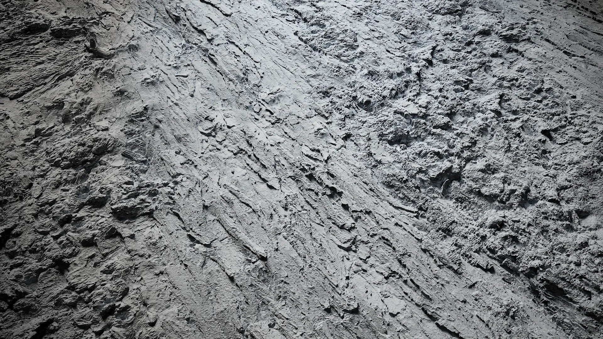 Hippophae rhamnoides Low-poly 3D model_4