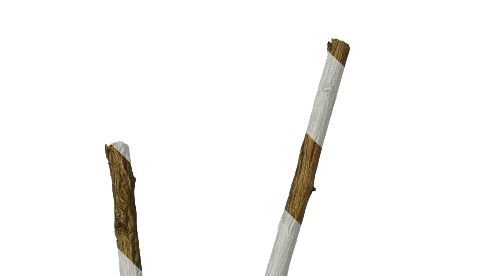 Hippophae rhamnoides Low-poly 3D model_11