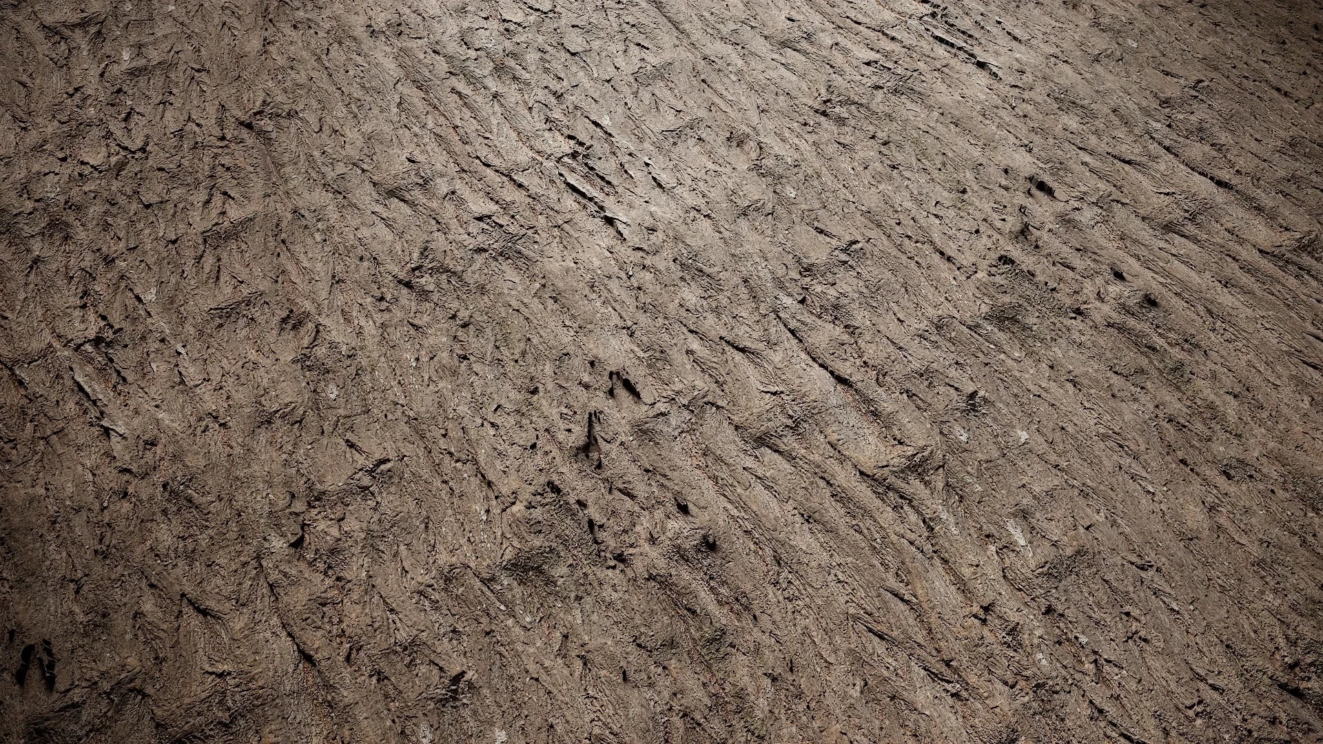 Hippophae rhamnoides Low-poly 3D model_5