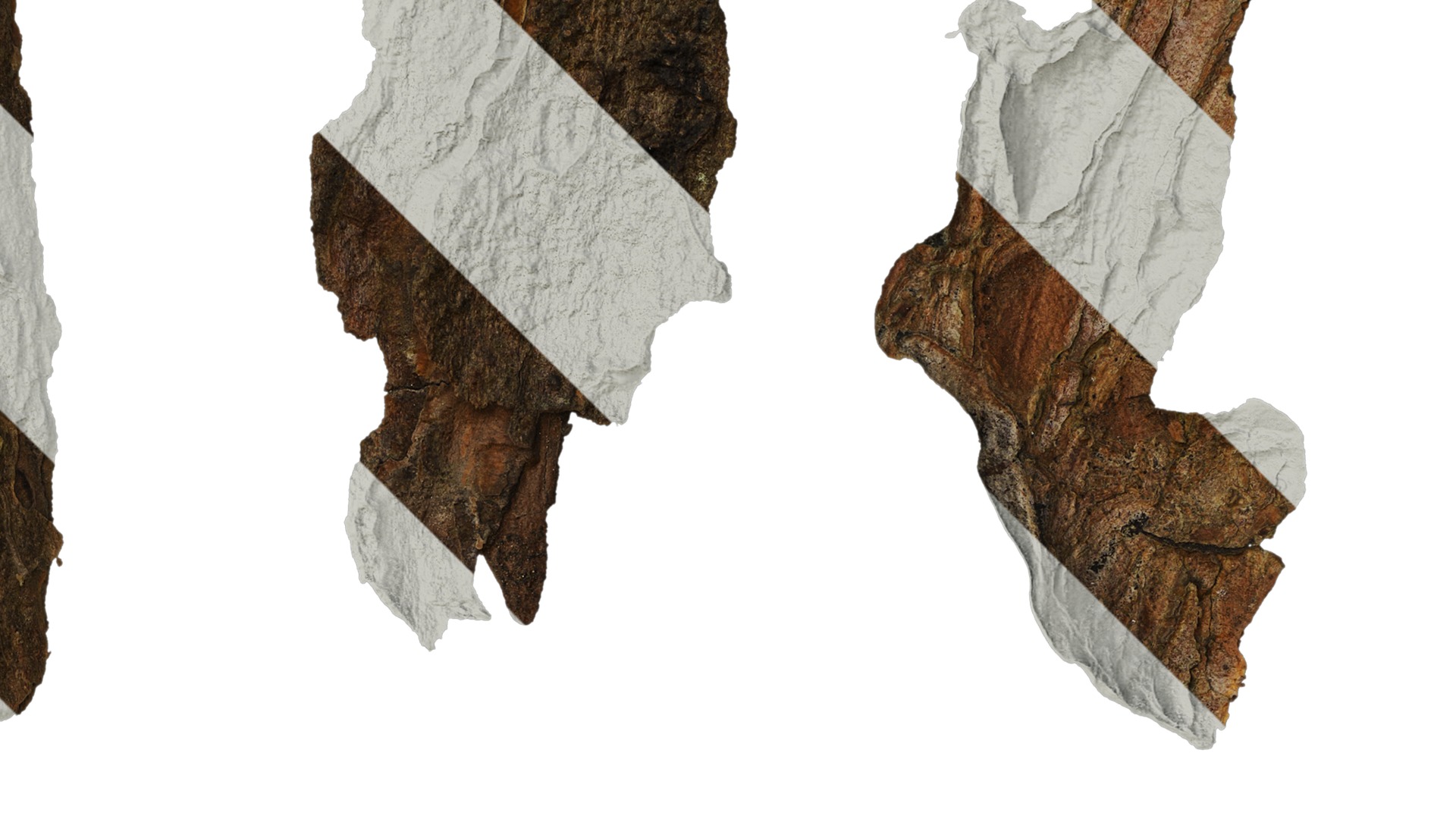 Anydrafts Bark 09 F Texture_2