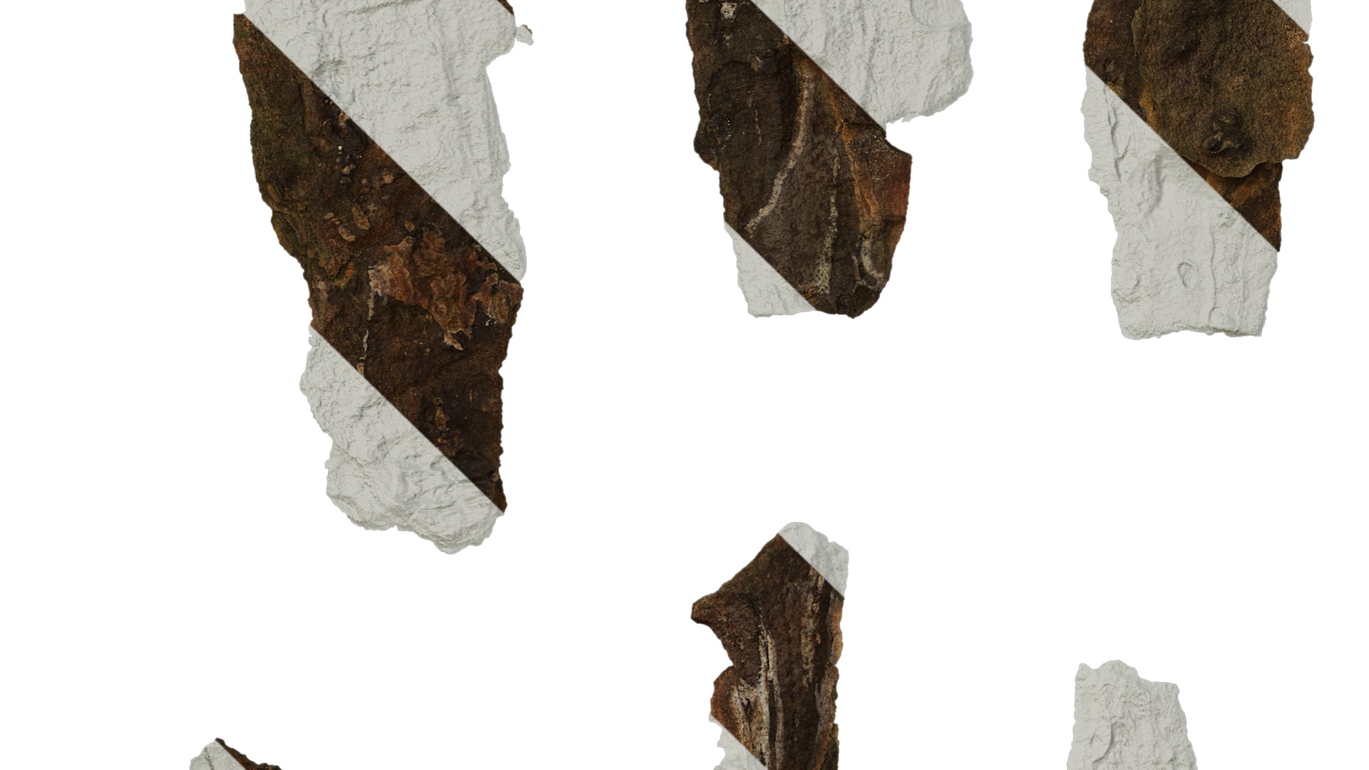 Anydrafts Bark 09 F Texture_5