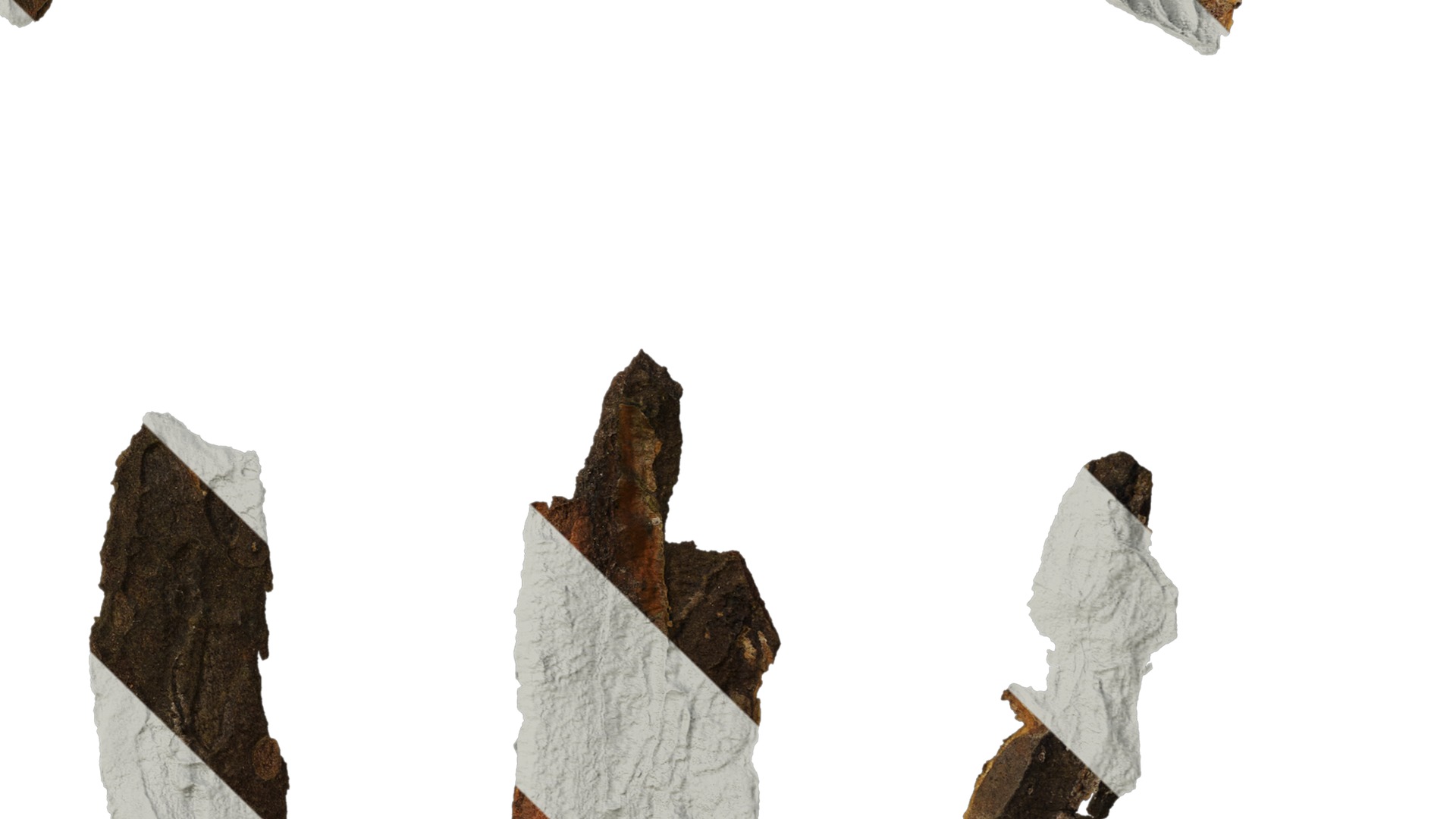 Anydrafts Bark 09 F Texture_4