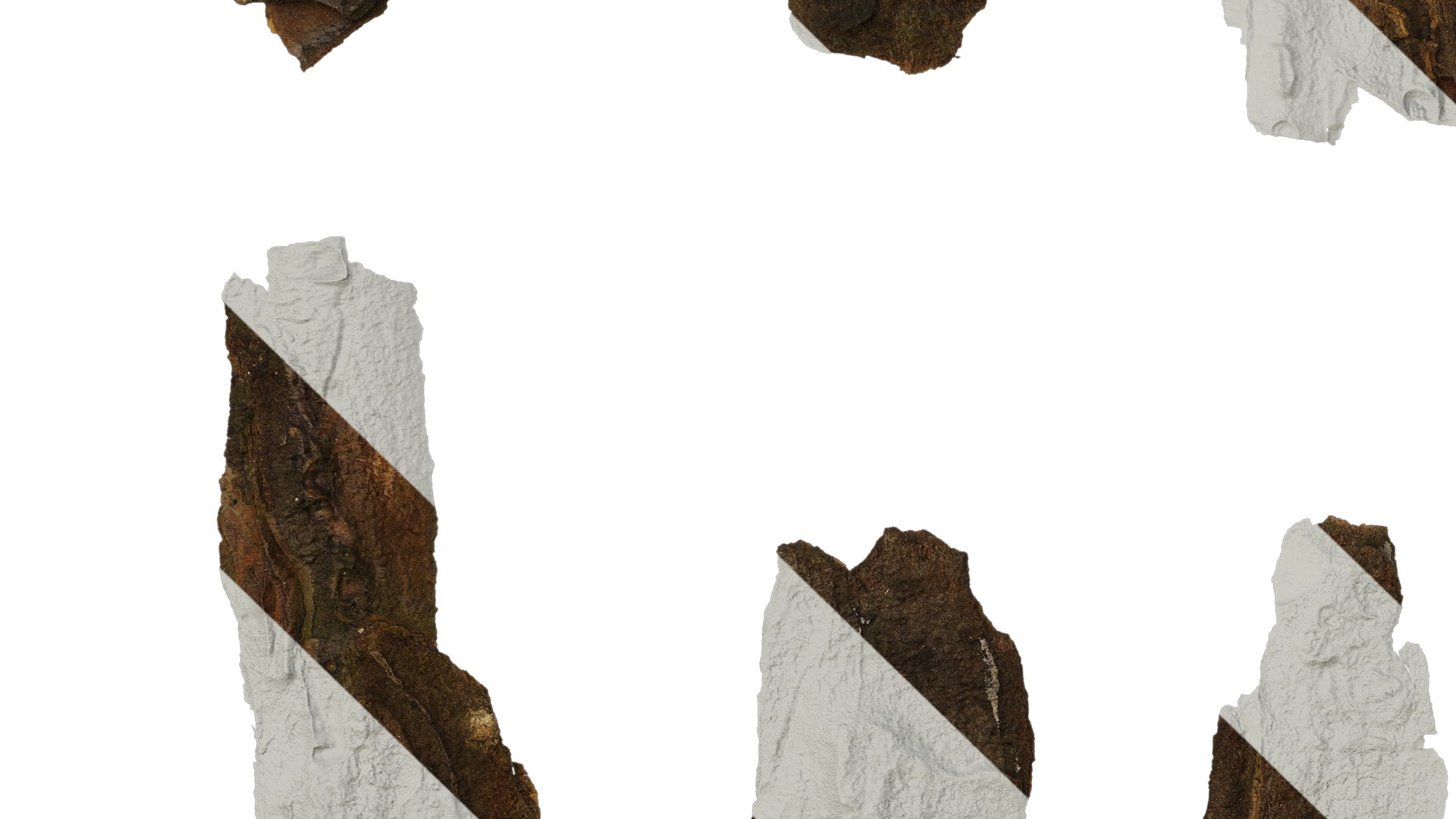 Anydrafts Bark 09 F Texture_3