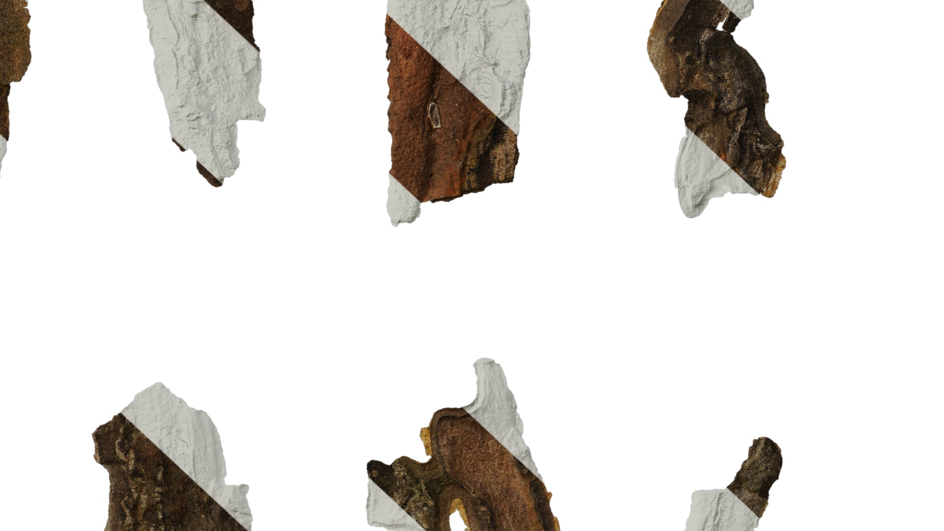 Anydrafts Bark 09 F Texture_6