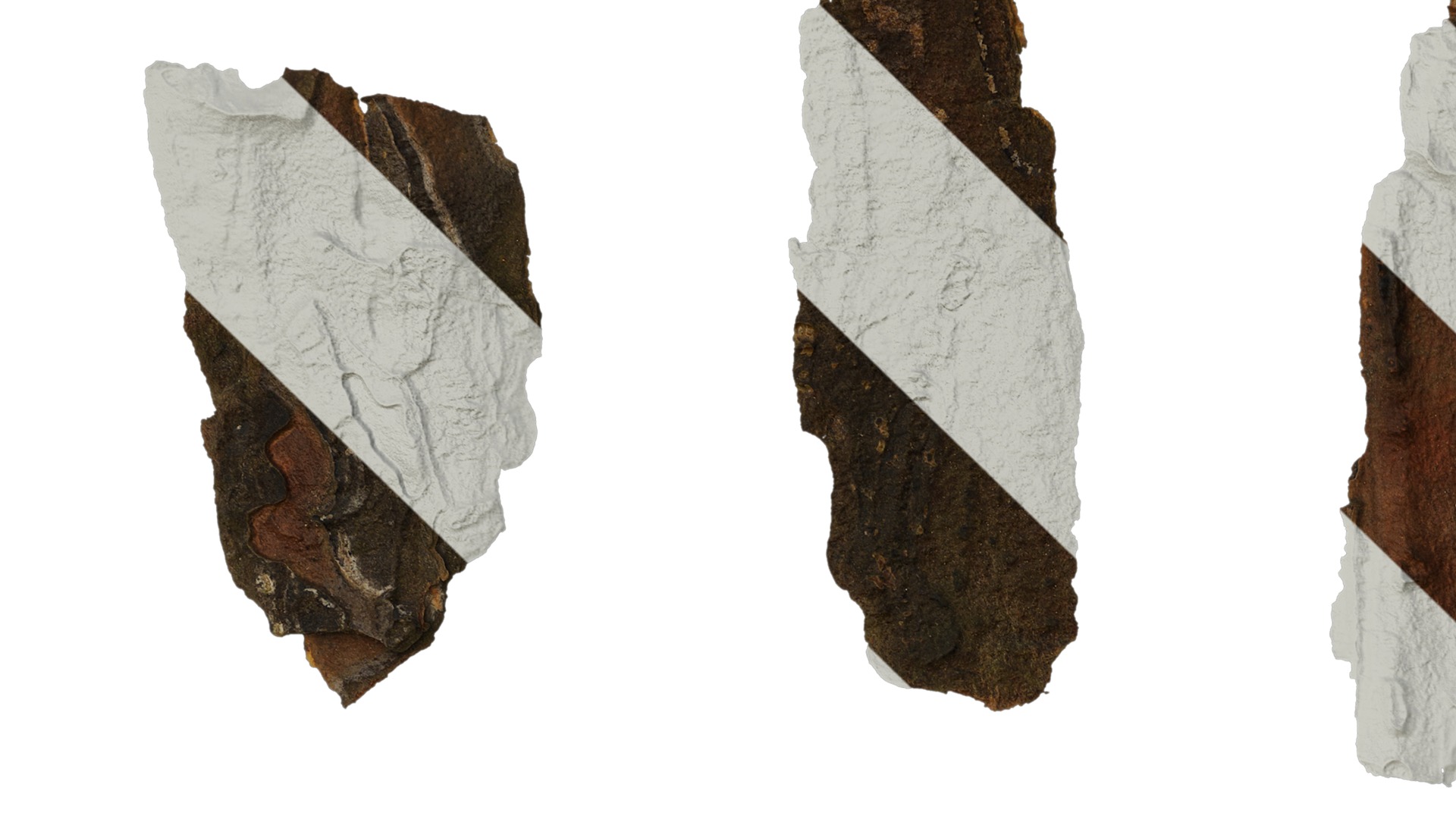 Anydrafts Bark 09 F Texture_1