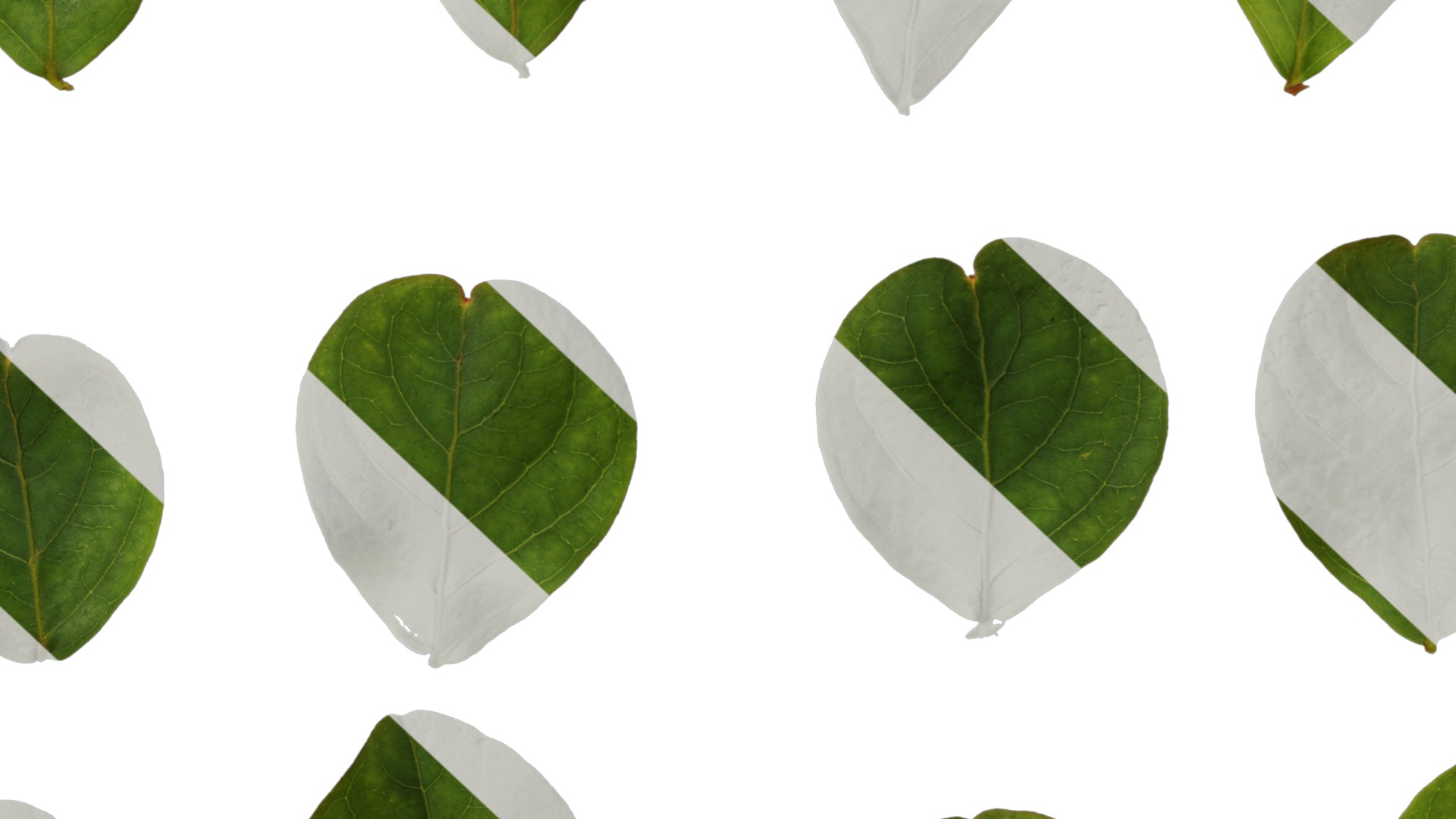 Lagerstroemia indica Low-poly 3D model_108