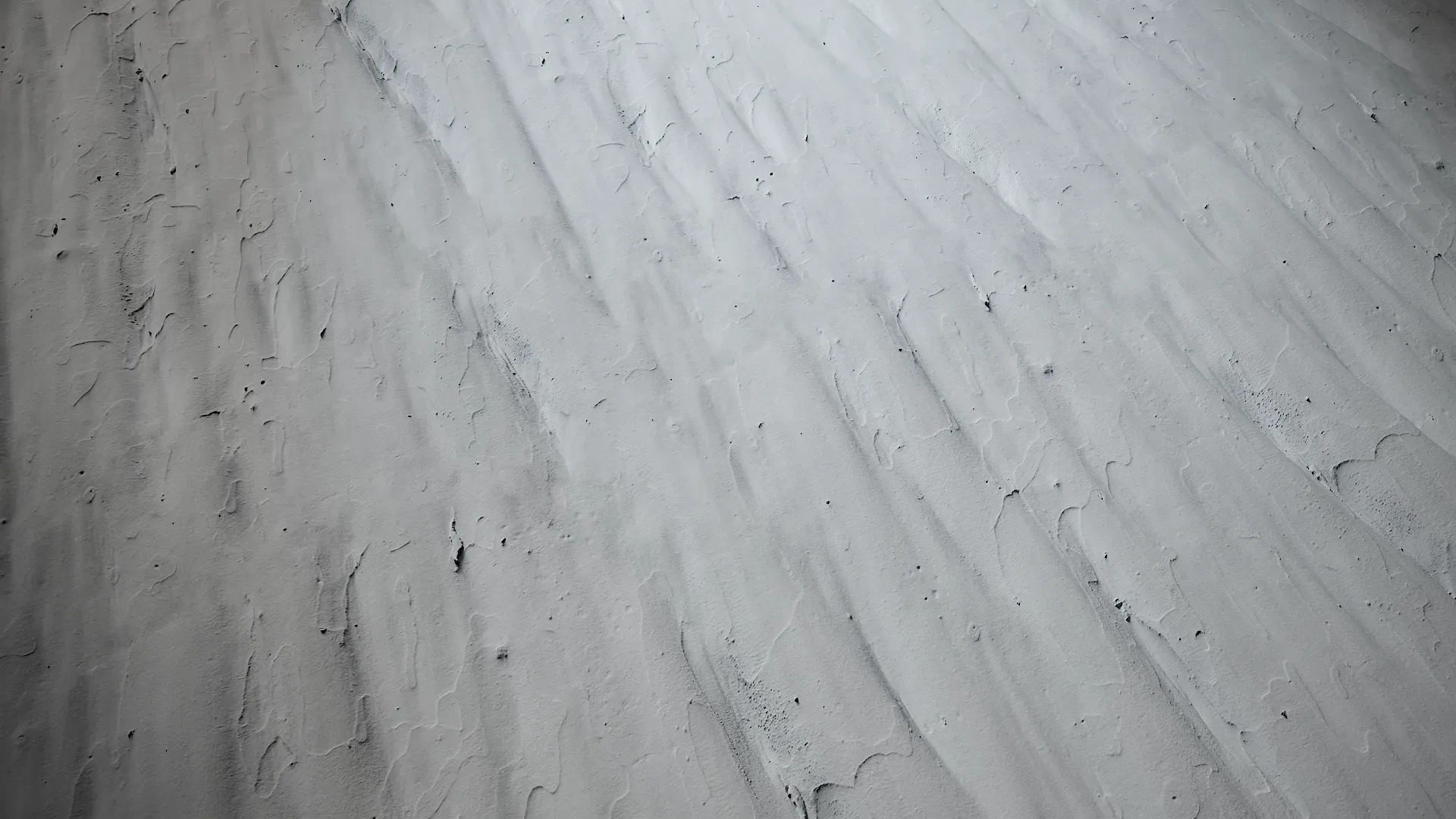 Lagerstroemia indica Low-poly 3D model_61