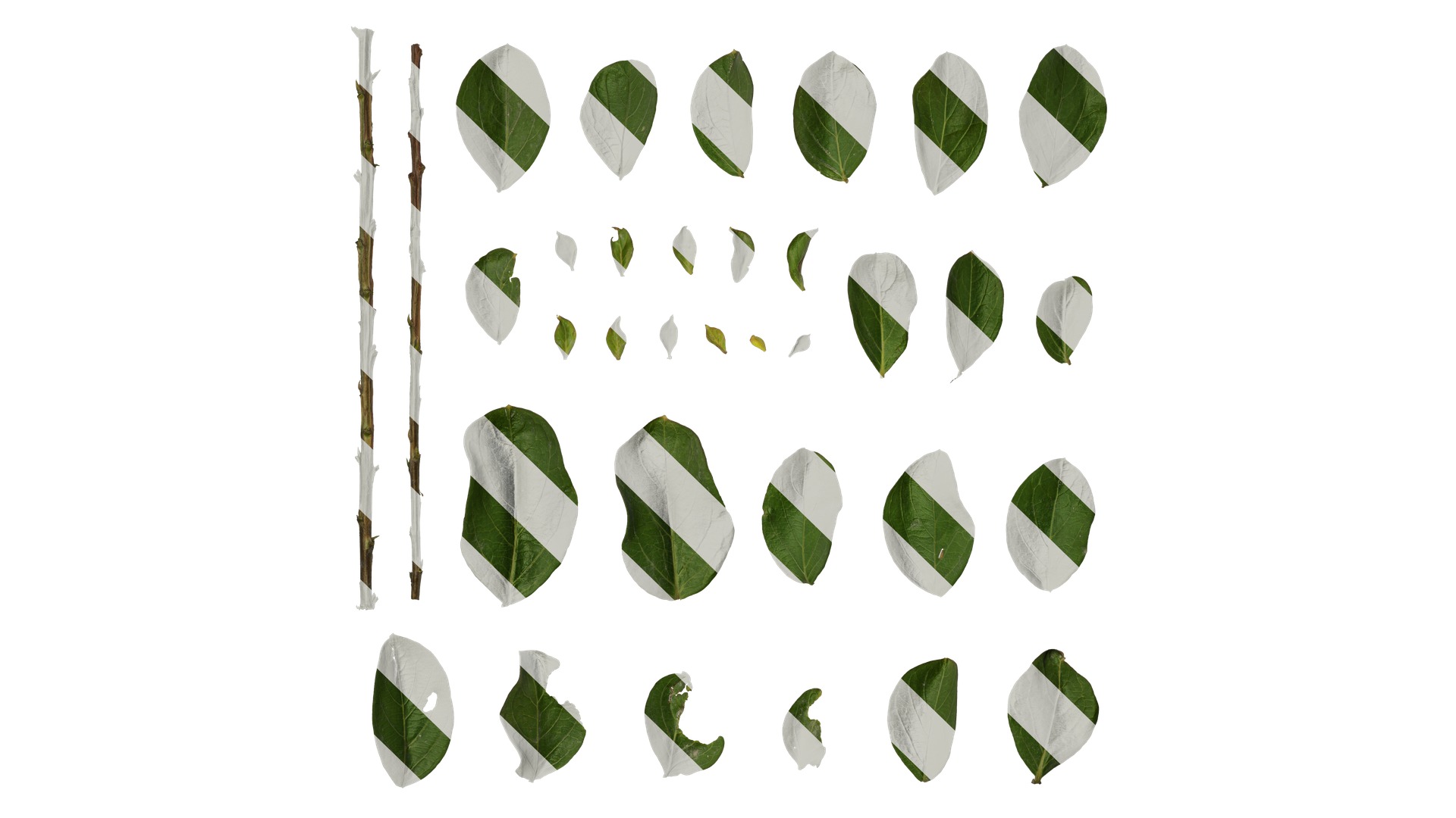 Lagerstroemia indica Low-poly 3D model_83