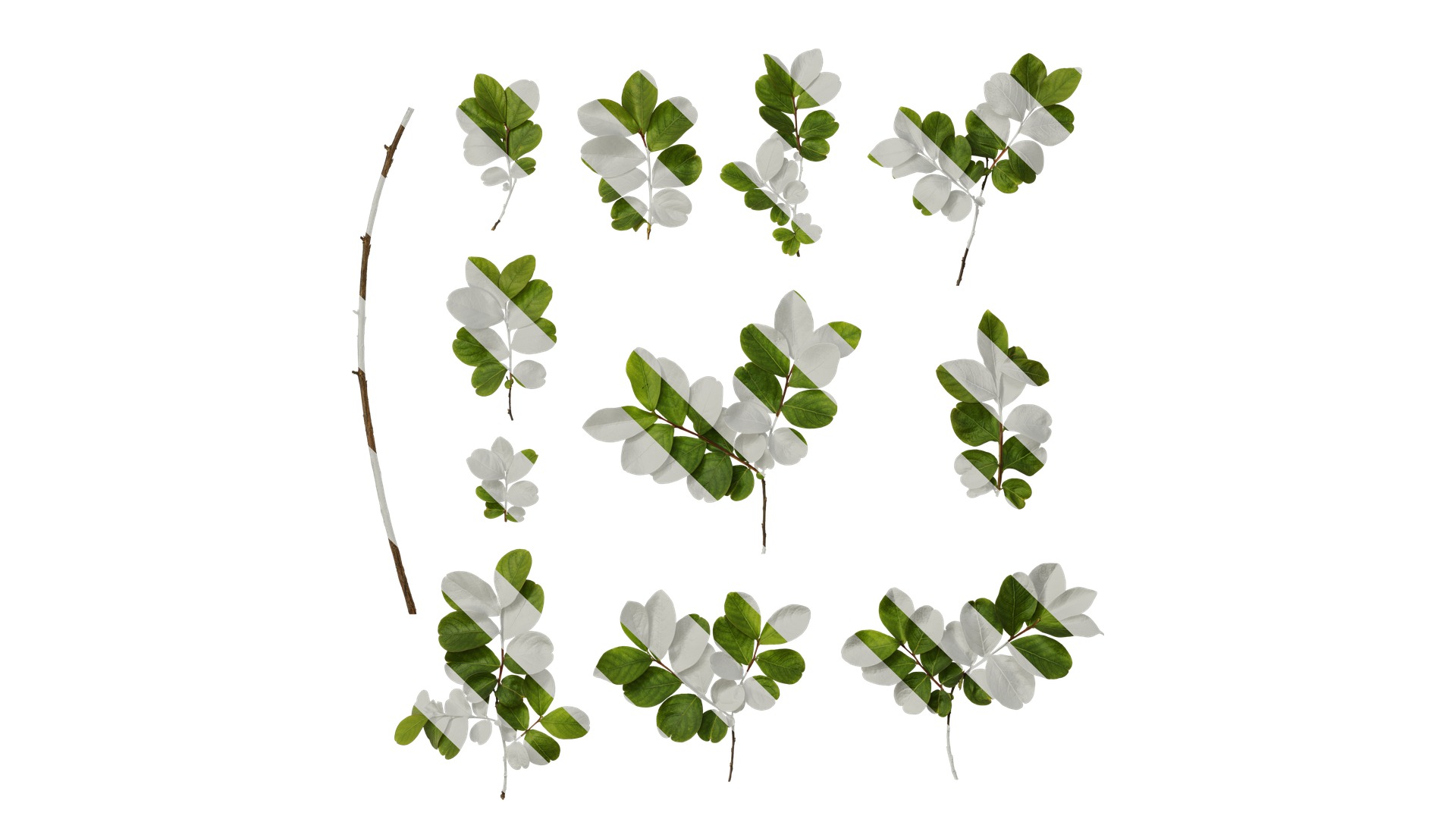 Lagerstroemia indica Low-poly 3D model_39