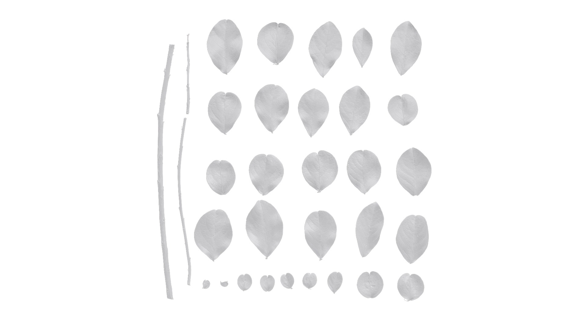 Lagerstroemia indica Low-poly 3D model_100