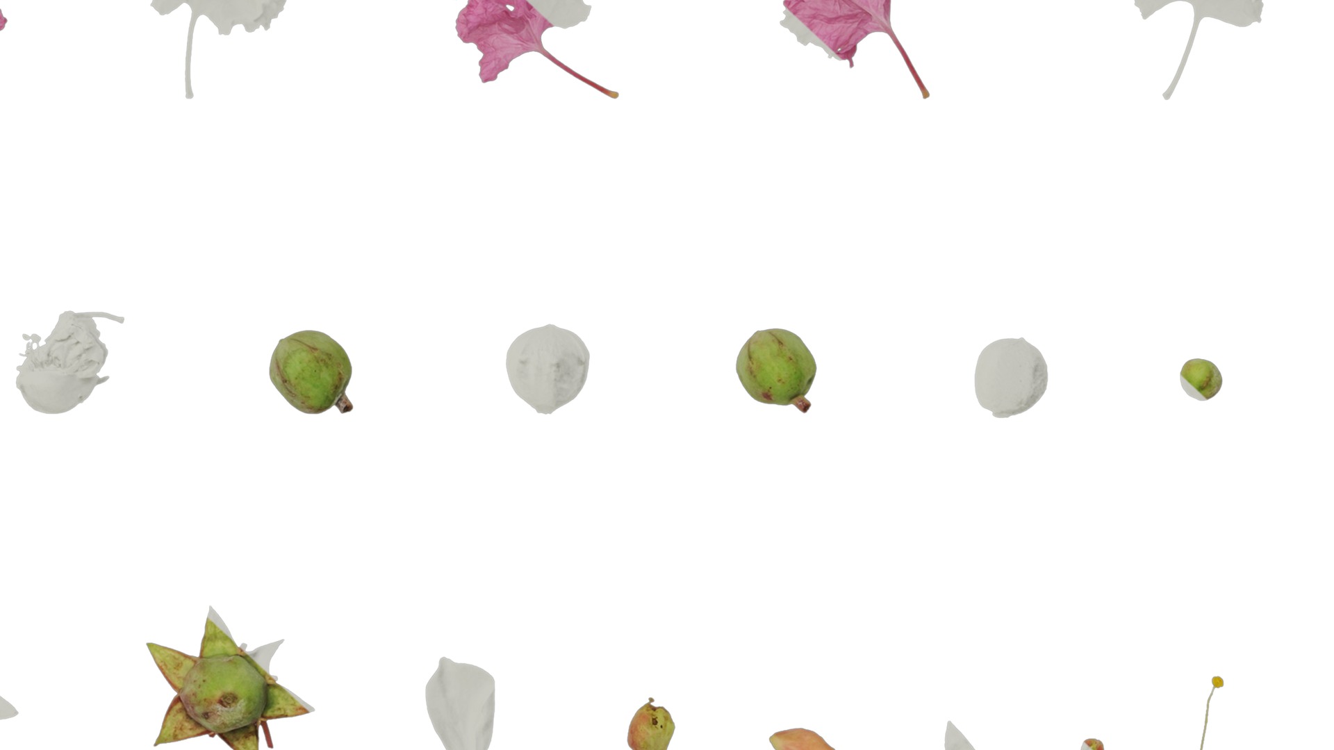 Lagerstroemia indica Low-poly 3D model_69