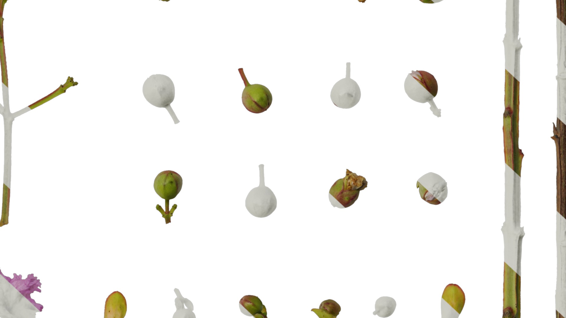 Lagerstroemia indica Low-poly 3D model_17