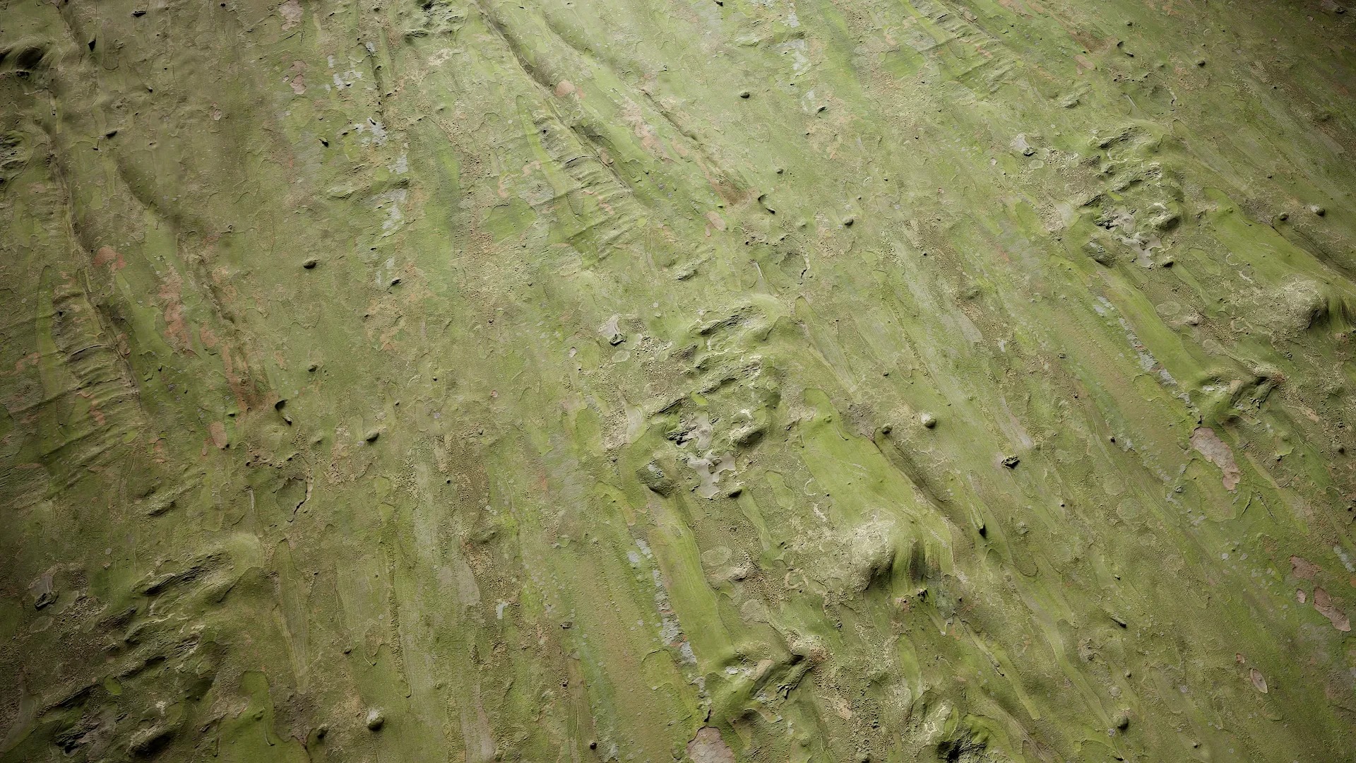 Lagerstroemia indica Low-poly 3D model_56