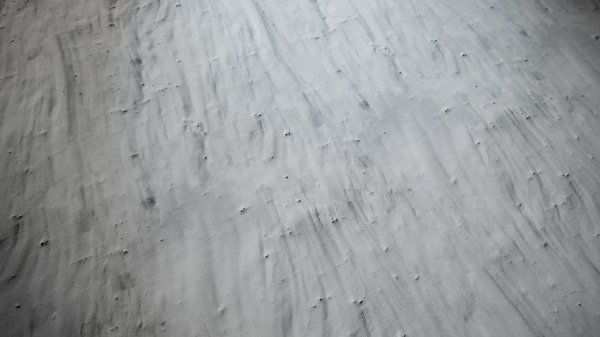 Lagerstroemia indica Low-poly 3D model_59