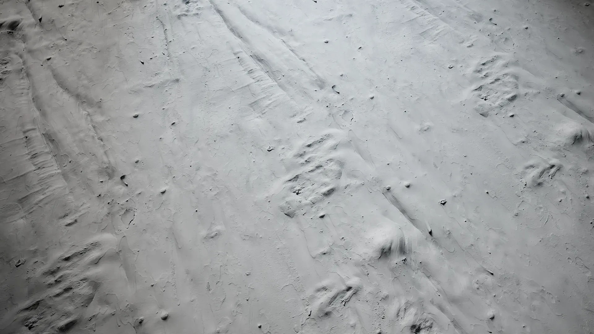 Lagerstroemia indica Low-poly 3D model_57