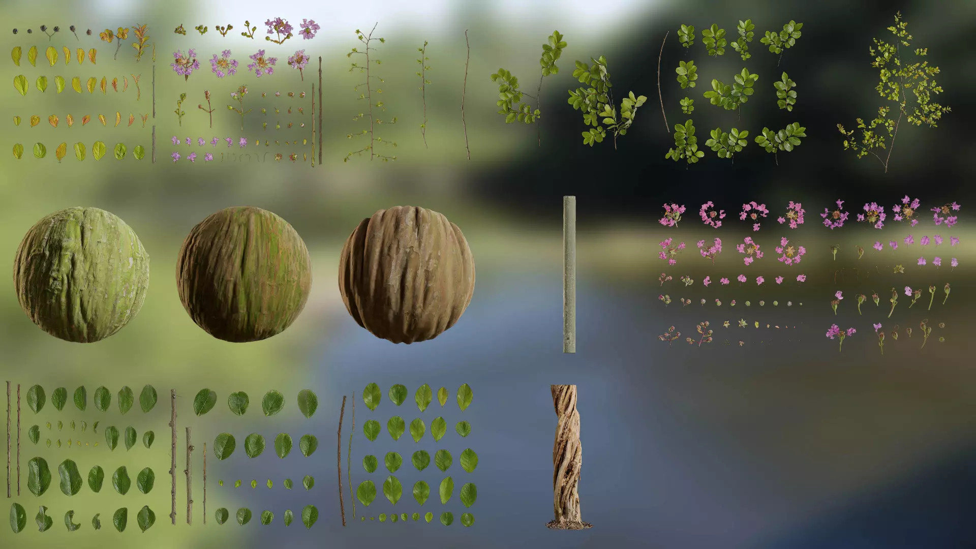 Lagerstroemia indica Low-poly 3D model_0