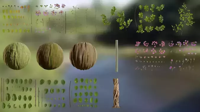 Lagerstroemia indica