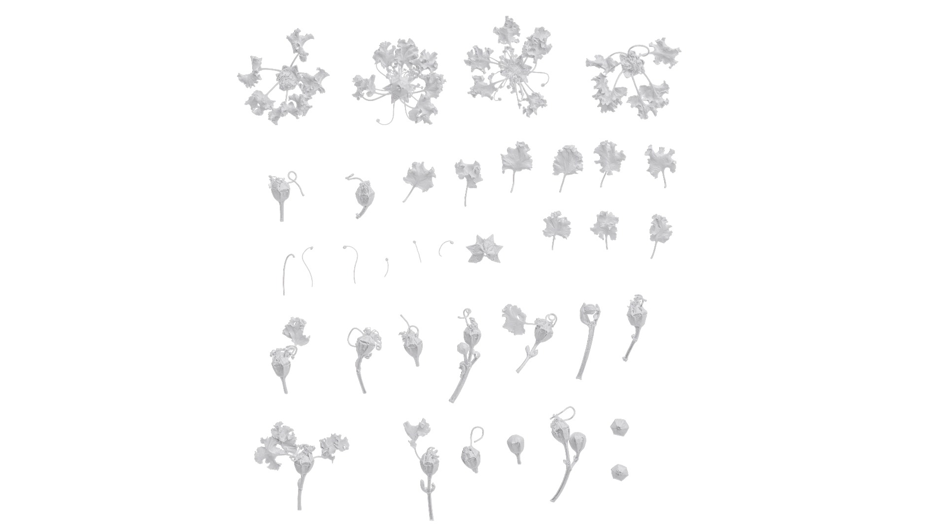 Lagerstroemia indica Low-poly 3D model_71