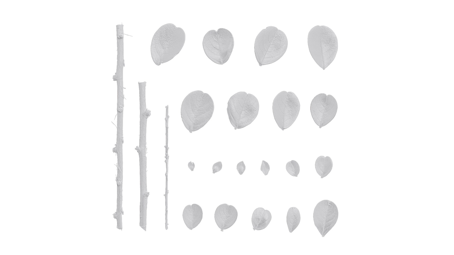 Lagerstroemia indica Low-poly 3D model_91