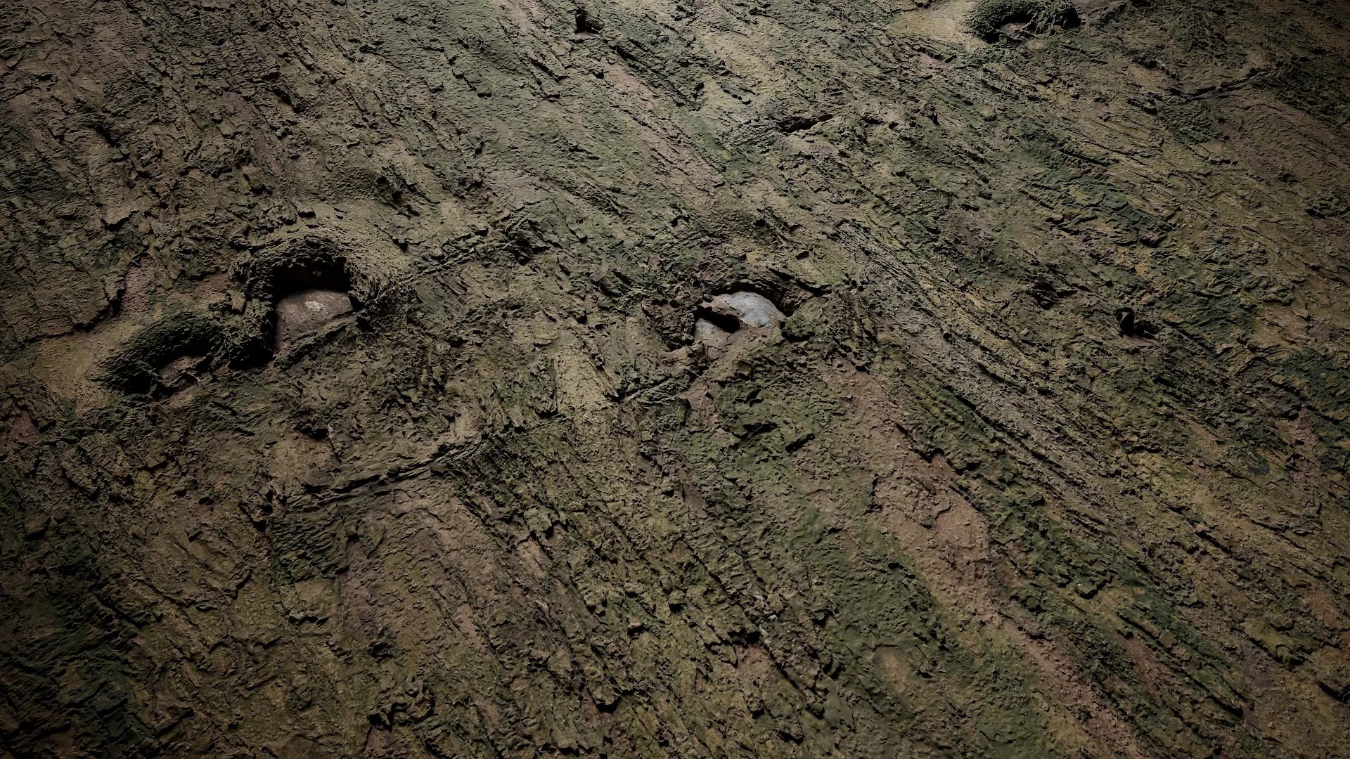 Lindera megaphylla Low-poly 3D model_20