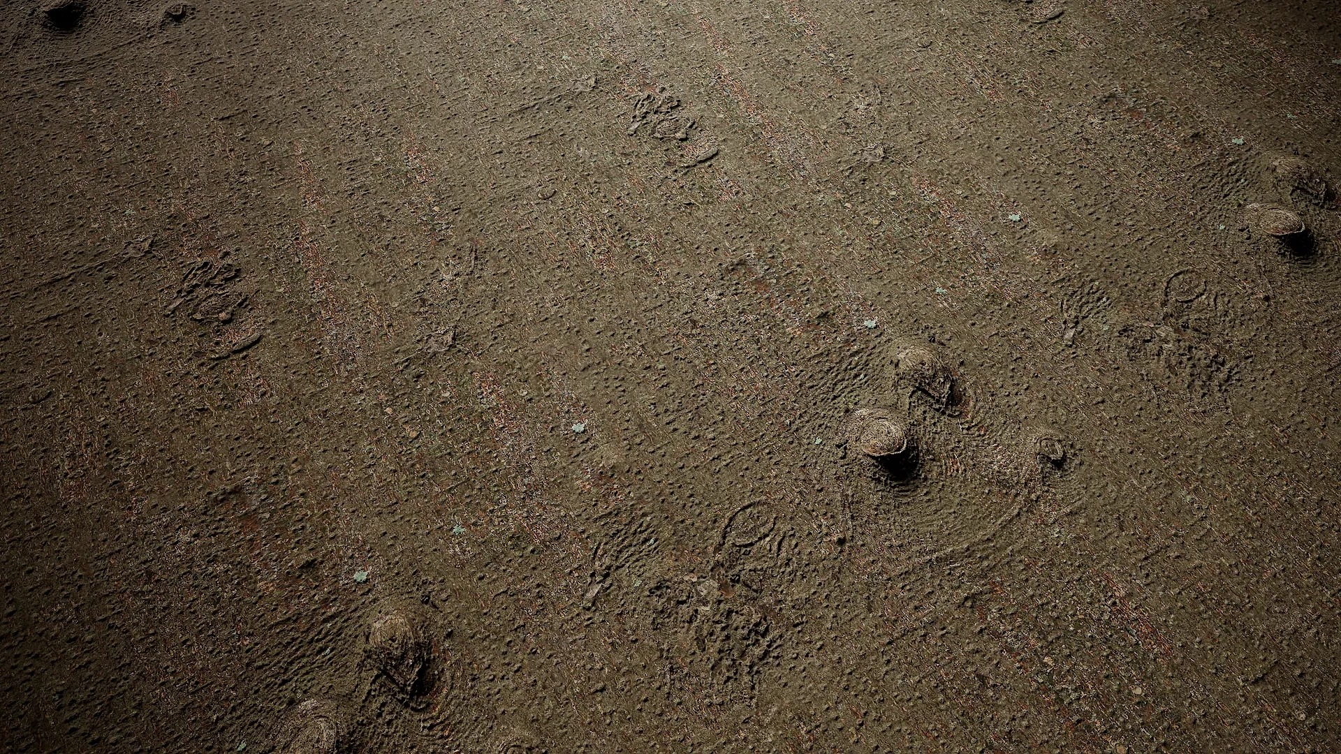 Lindera megaphylla Low-poly 3D model_18