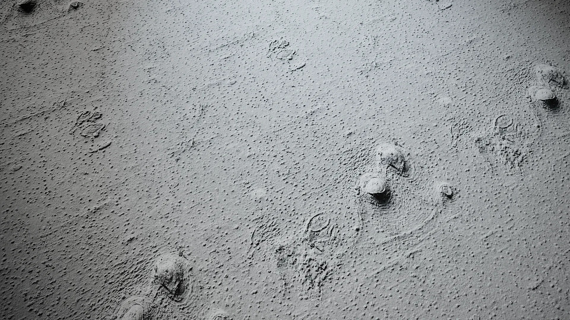 Lindera megaphylla Low-poly 3D model_19