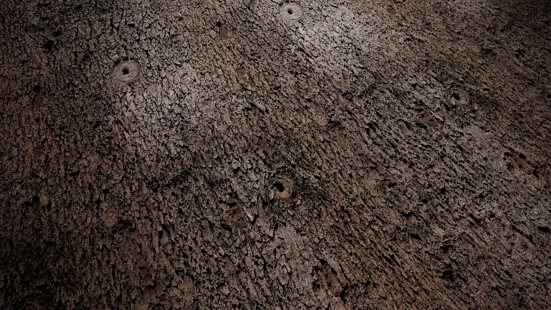 Lindera megaphylla Low-poly 3D model_24