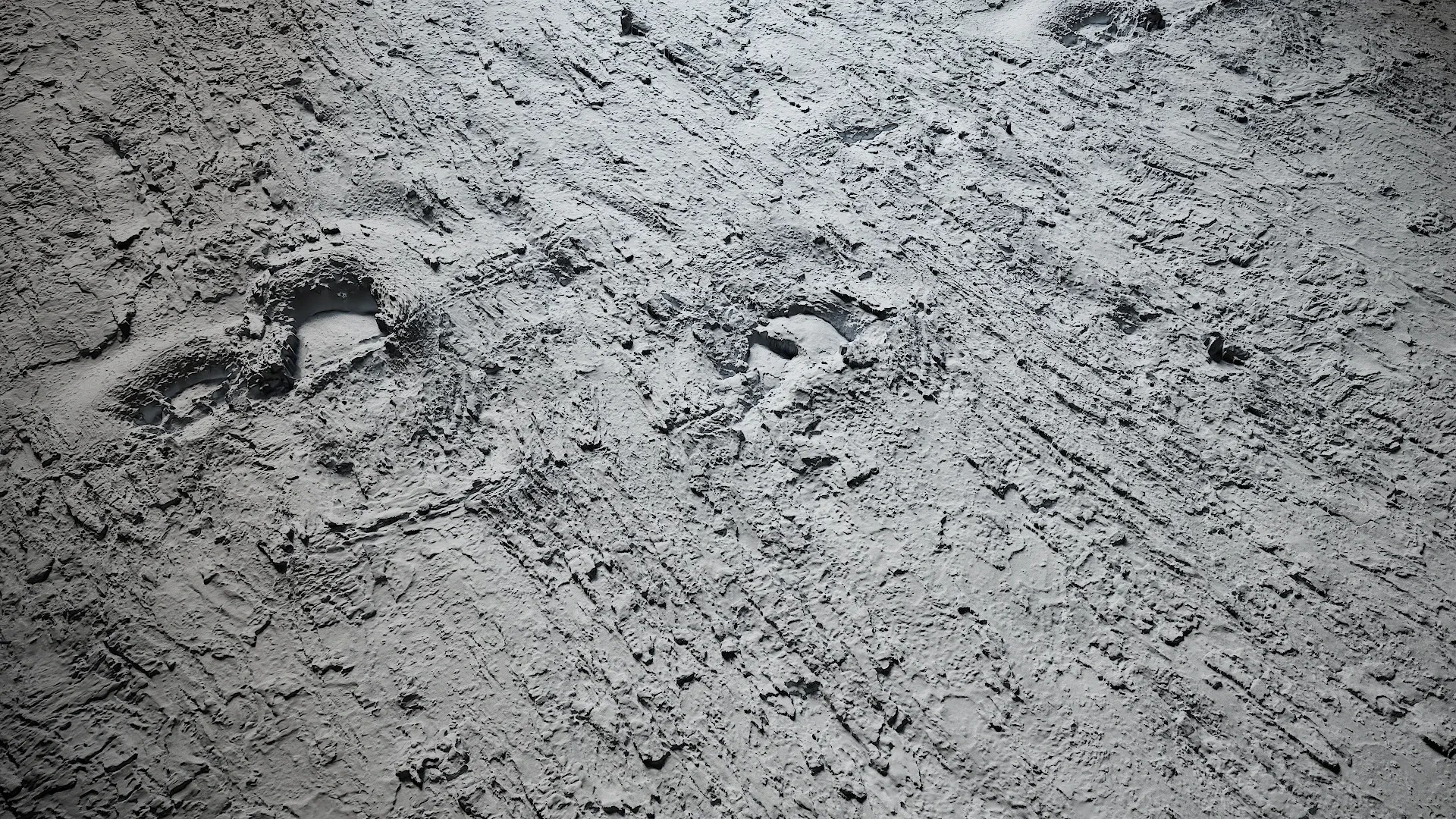 Lindera megaphylla Low-poly 3D model_21