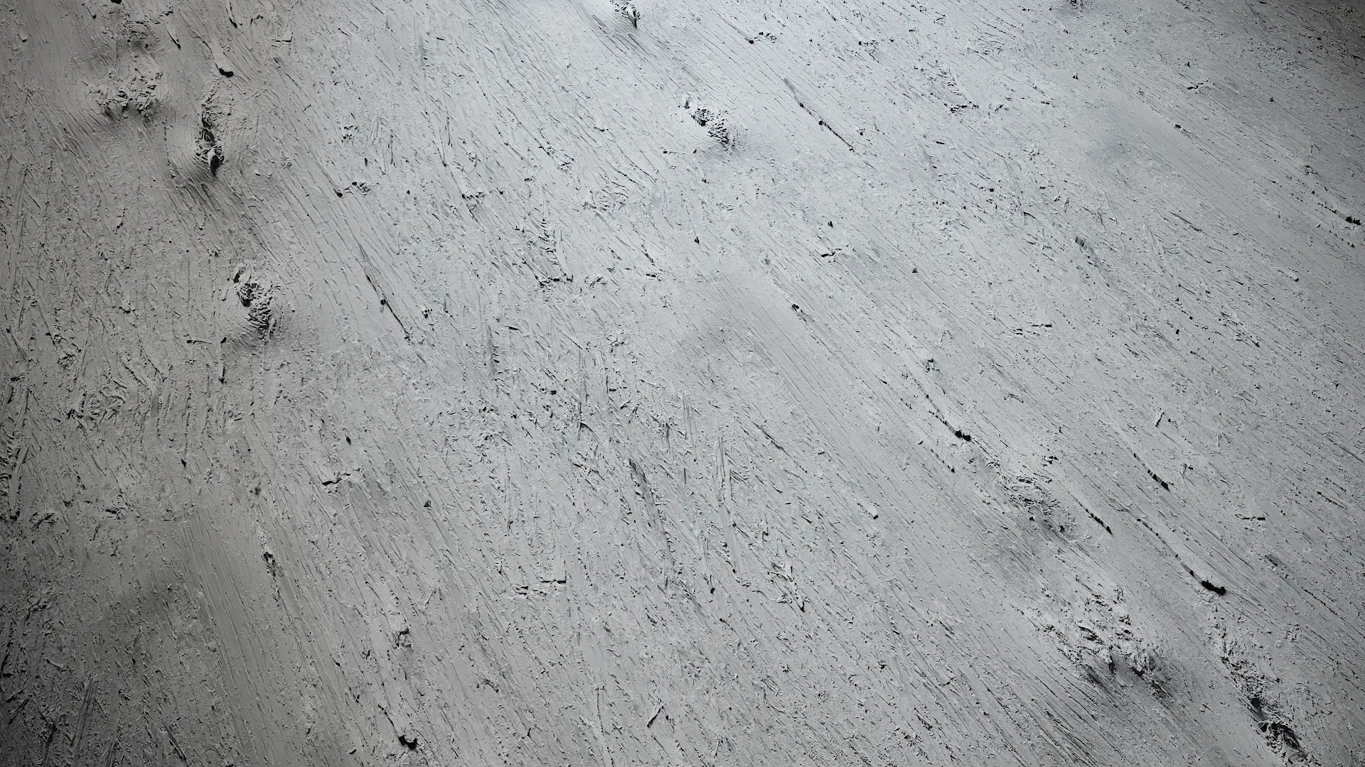 Lindera megaphylla Low-poly 3D model_27