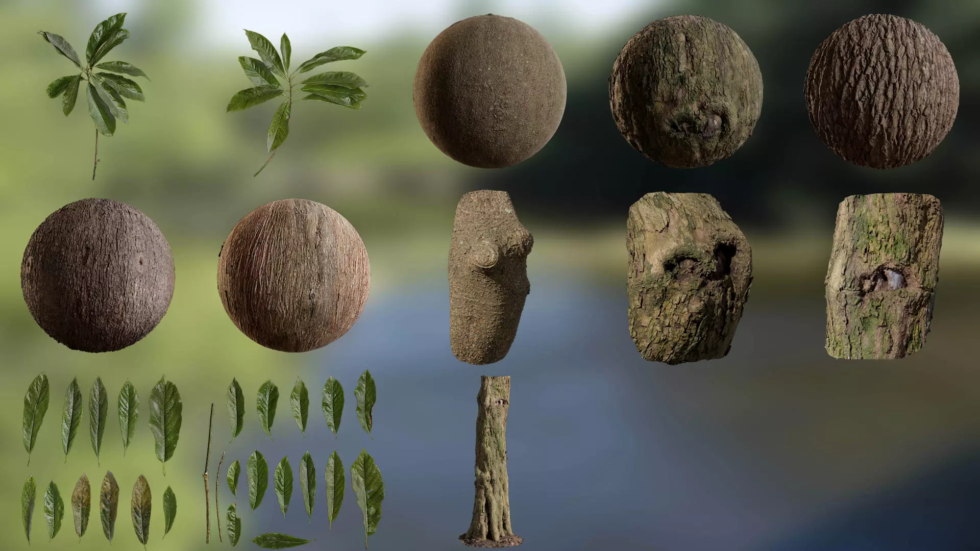 Lindera megaphylla Low-poly 3D model_0